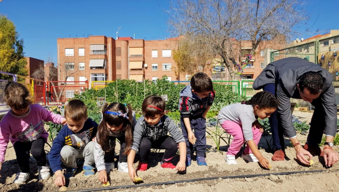 elda-colegio-almafra-premio-huerto-ecologico-febrero-2020-2