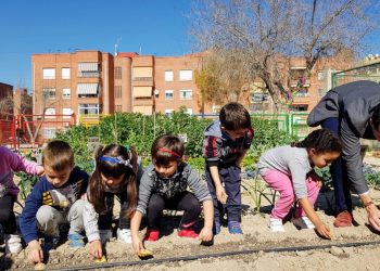 elda-colegio-almafra-premio-huerto-ecologico-febrero-2020-2