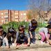 elda-colegio-almafra-premio-huerto-ecologico-febrero-2020-2