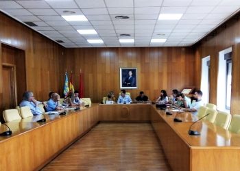 elda-componentes-comisiones-informativas-julio-2019