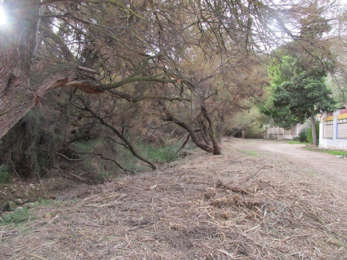 elda-desbroce-diciembre-2019-2