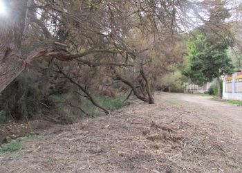 elda-desbroce-diciembre-2019-2