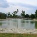 Los Jardines del Vinalopó se consolidan como zona de ocio y deporte