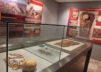 Elda recibe más de 43.000 euros en ayudas de la Generalitat Valenciana