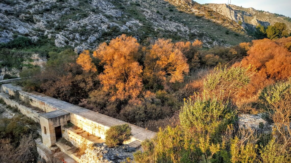 elda-pantano-marzo-2019