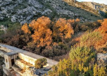 elda-pantano-marzo-2019