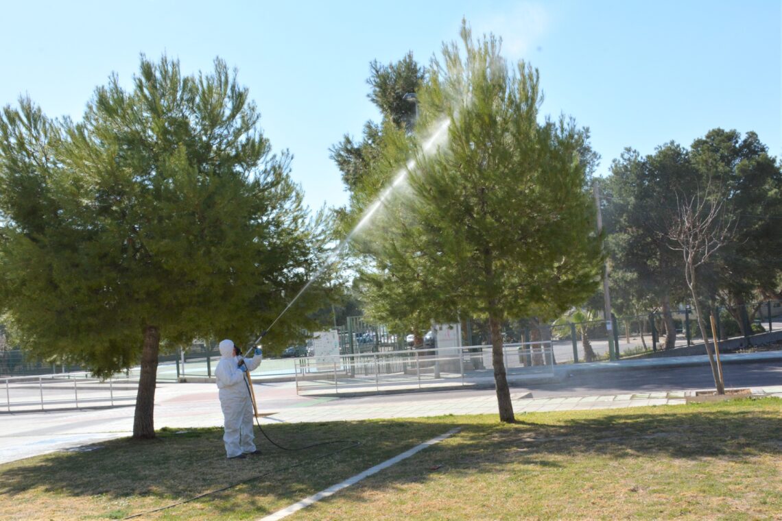 elda-procesionaria-retirada-febrero-2019-1