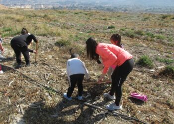 elda-reforestacion-bolon-febrero-2019-1
