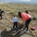 elda-reforestacion-bolon-febrero-2019-1