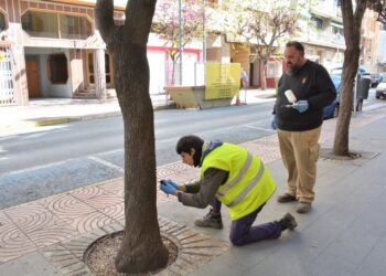 elda-tratamiento-plaga-arbol-del-amor-abril-2019-1