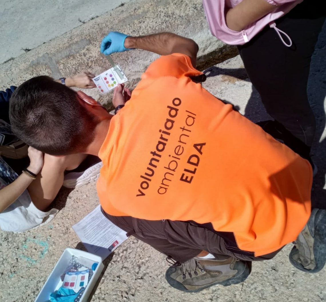 Medio Ambiente pone en marcha nuevas actividades del Voluntariado Ambiental de Elda