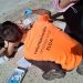 Medio Ambiente pone en marcha nuevas actividades del Voluntariado Ambiental de Elda