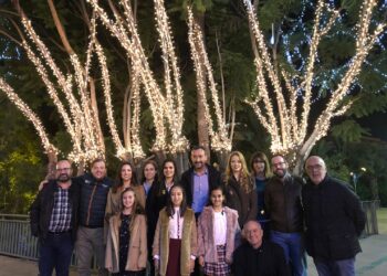 encendido-luces-navidad-diciembre-2018-3