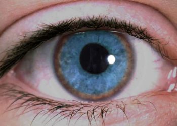 Enfermedad de Wilson o el exceso de cobre en el organismo