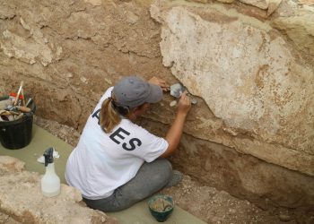 Investigadores de la UA descubren nuevos hallazgos del complejo termal del yacimiento de la Alcudia