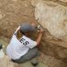 Investigadores de la UA descubren nuevos hallazgos del complejo termal del yacimiento de la Alcudia