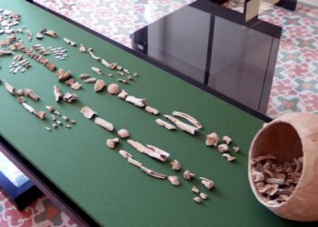 exposicion-casa-parque-crevillent-diciembre-2018