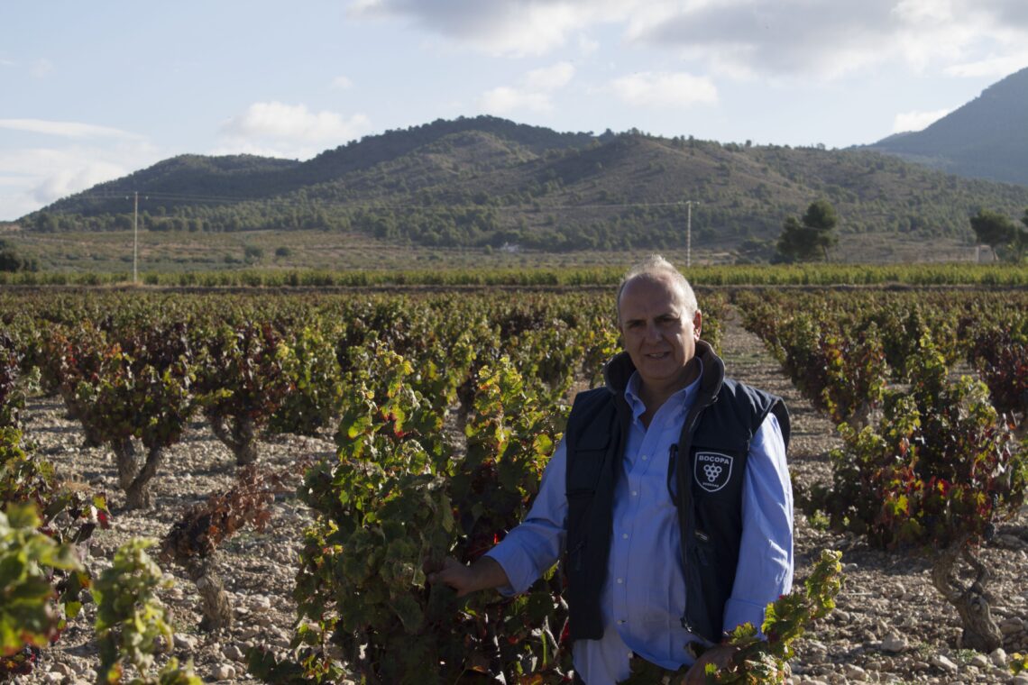 gaspar-tomas-febrero-2019