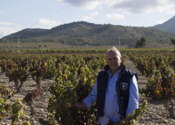 gaspar-tomas-febrero-2019