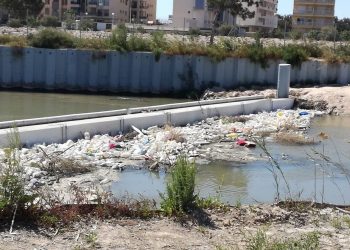 guardamar-del-segura-plasticos-mayo-2019