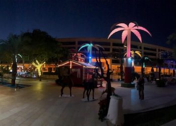 «Festejaremos la Navidad en la medida de lo posible»