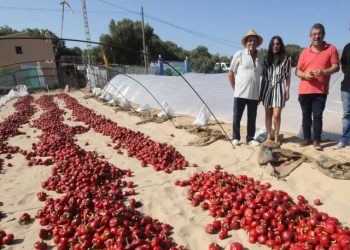guardamar-noras-agosto-2019-3