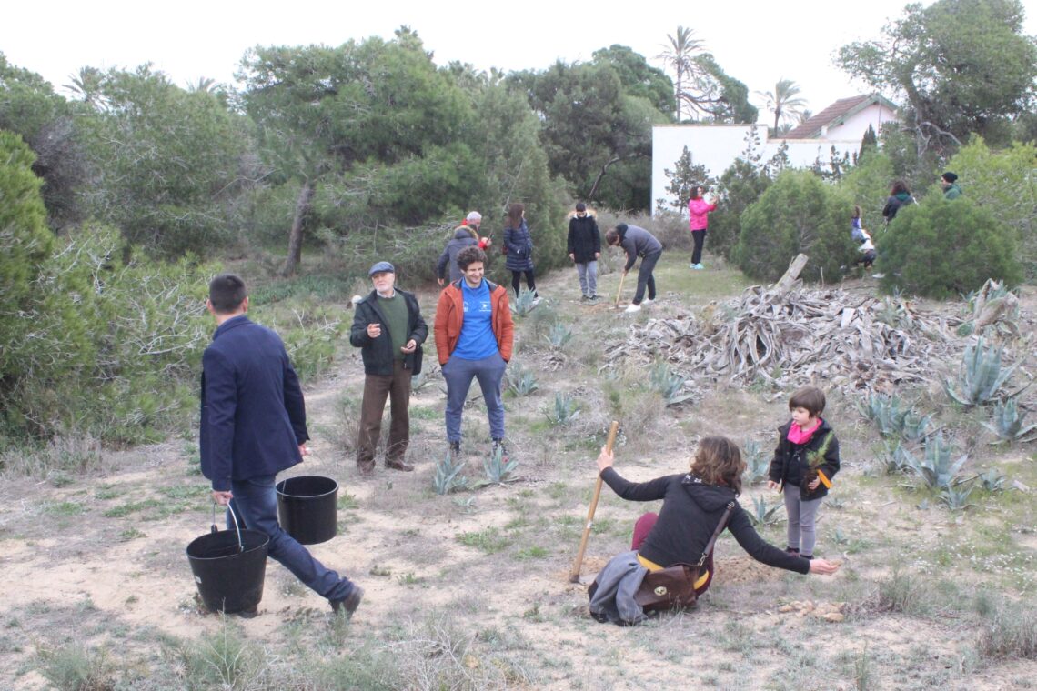 guardamar-reforestacion-marzo-2019