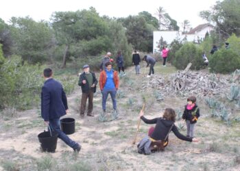 guardamar-reforestacion-marzo-2019