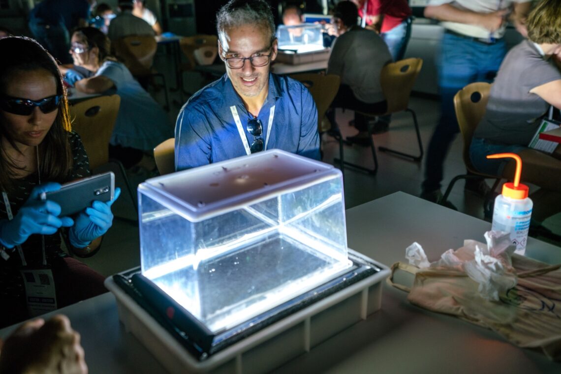 hidraqua-becas-profesores-cern-abril-2019