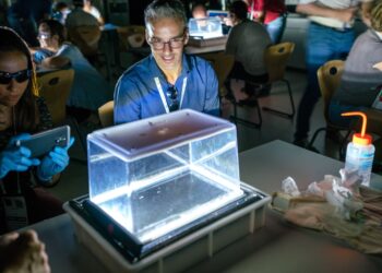 hidraqua-becas-profesores-cern-abril-2019