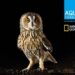 Fundación Aquae y National Geographic lanzan PhotoAquae para premiar las mejores fotografías sobre el agua