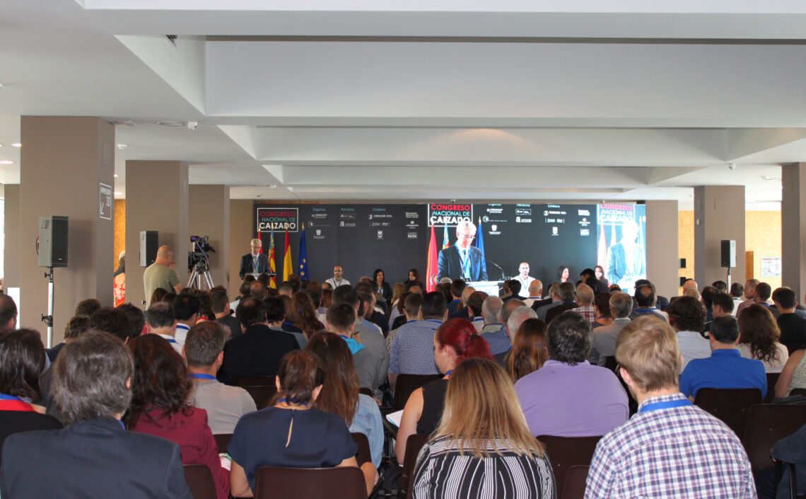 i-congreso-nacional-del-calzado-elda-2017