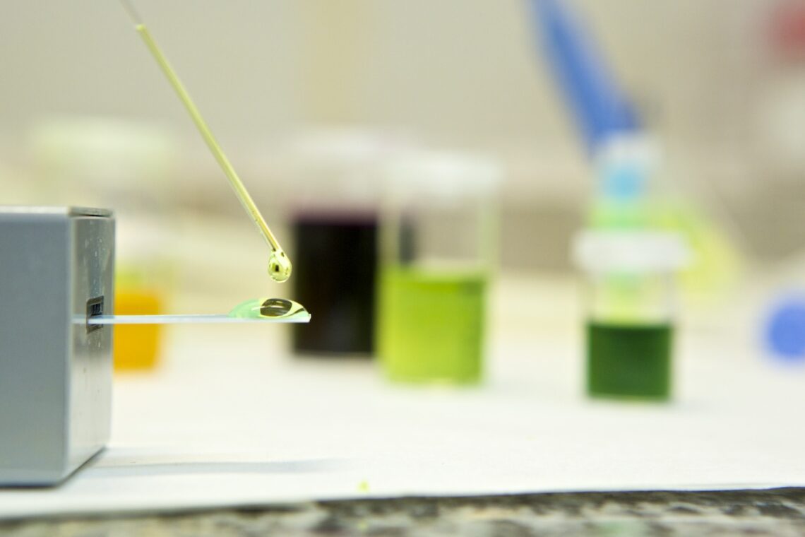 investigacion-universidad-alicante-ua-diciembre-2018