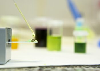 investigacion-universidad-alicante-ua-diciembre-2018