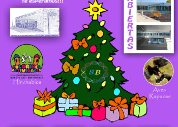 jornada-puertas-abiertas-sense-barreres-petrer-diciembre-2018