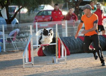 “Jack” y Fermín Gil ganan el Autonómico de Agility