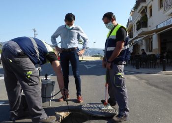 “Campaña Extraordinaria de Desinsectación” contra las cucarachas