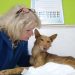 «En España hay que endurecer las leyes contra el maltrato animal»