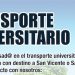 Transporte universitario desde La Nucía a los “campus de San Vicente y San Juan”