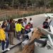 la-nucia-visita-escolares-al-ecoparque-marzo-2020