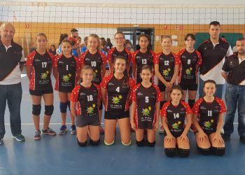 Formación y educación a través del voleibol