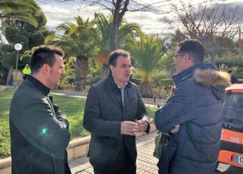 labores-de-mantenimiento-parques-y-jardines-elda-diciembre-2018