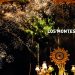 los-montesinos-fiestas-octubre-2019-2