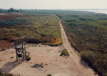 Los Montesinos, donde nacen los senderos