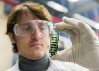 mariano-campoy-quiles-investigador