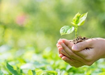 La Diputación destaca el papel de la ciudadanía en la lucha contra el cambio climático