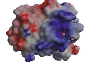 molecula-etamsilato-en-el-sitio-de-union-al-ligando-csis