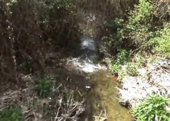 molins-de-banyeres-ruta-octubre-2019