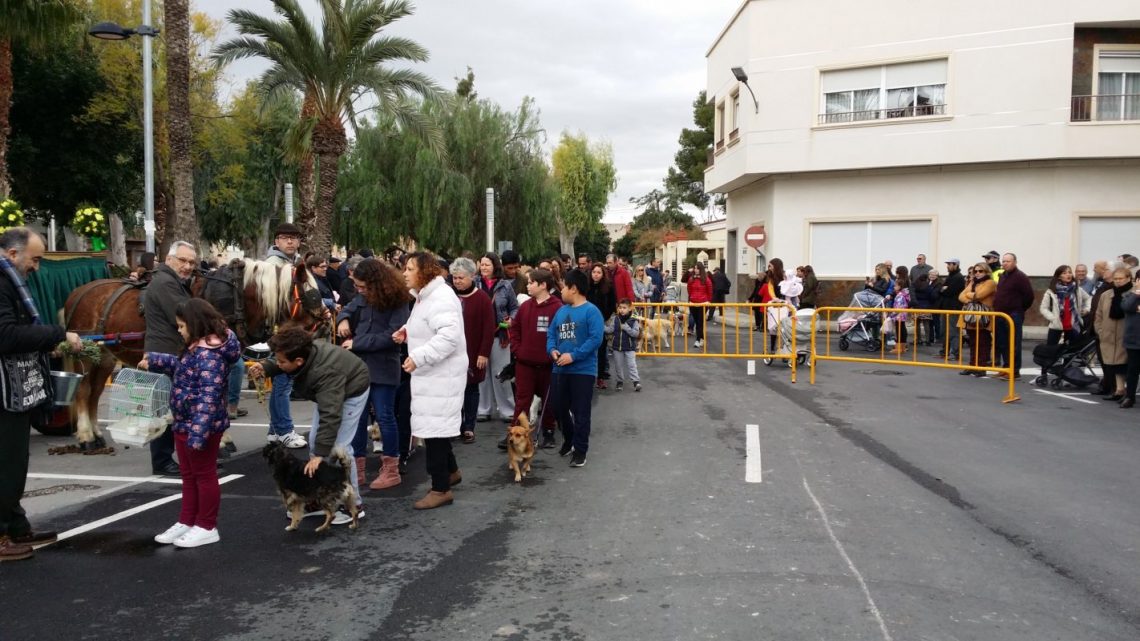 monforte-del-cid-romeria-san-anton-enero-2020-2