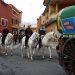 Monforte del Cid suspende la romería y bendición de animales en honor a San Antón